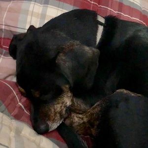 Meet your Posher, Theresa